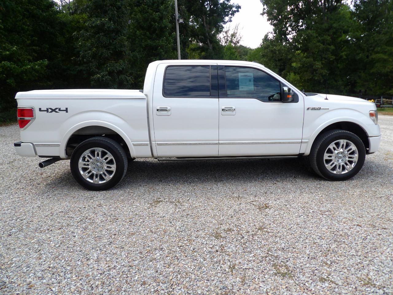 Ford F-150 4WD SuperCrew 145" Platinum 2014