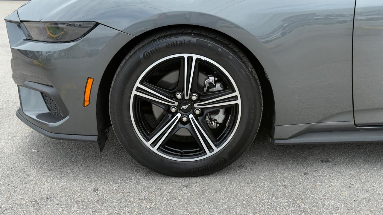 Ford Mustang EcoBoost Convertible 2025