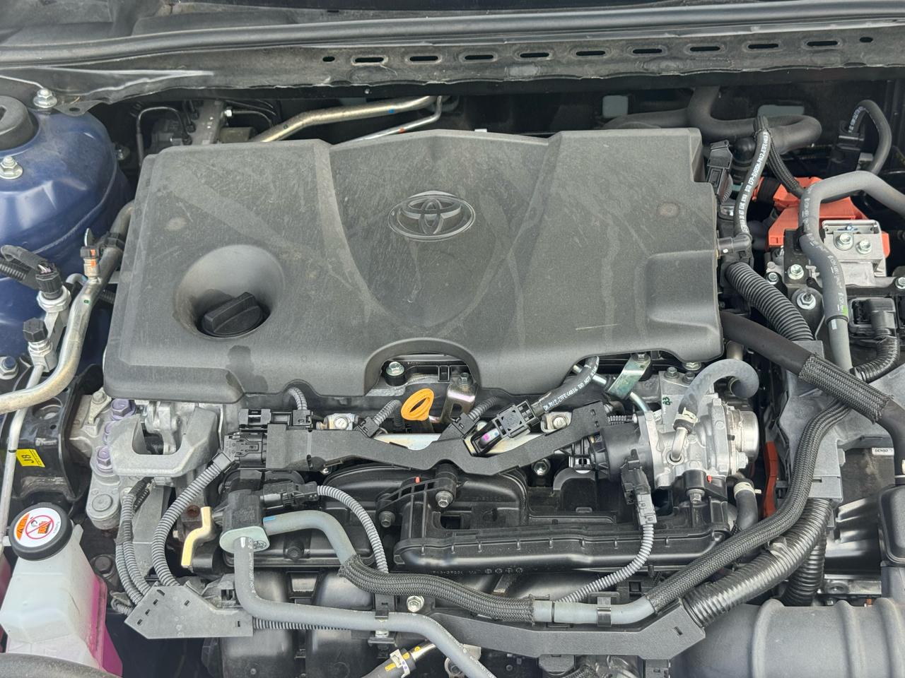 Toyota Camry XLE (Natl) 2025