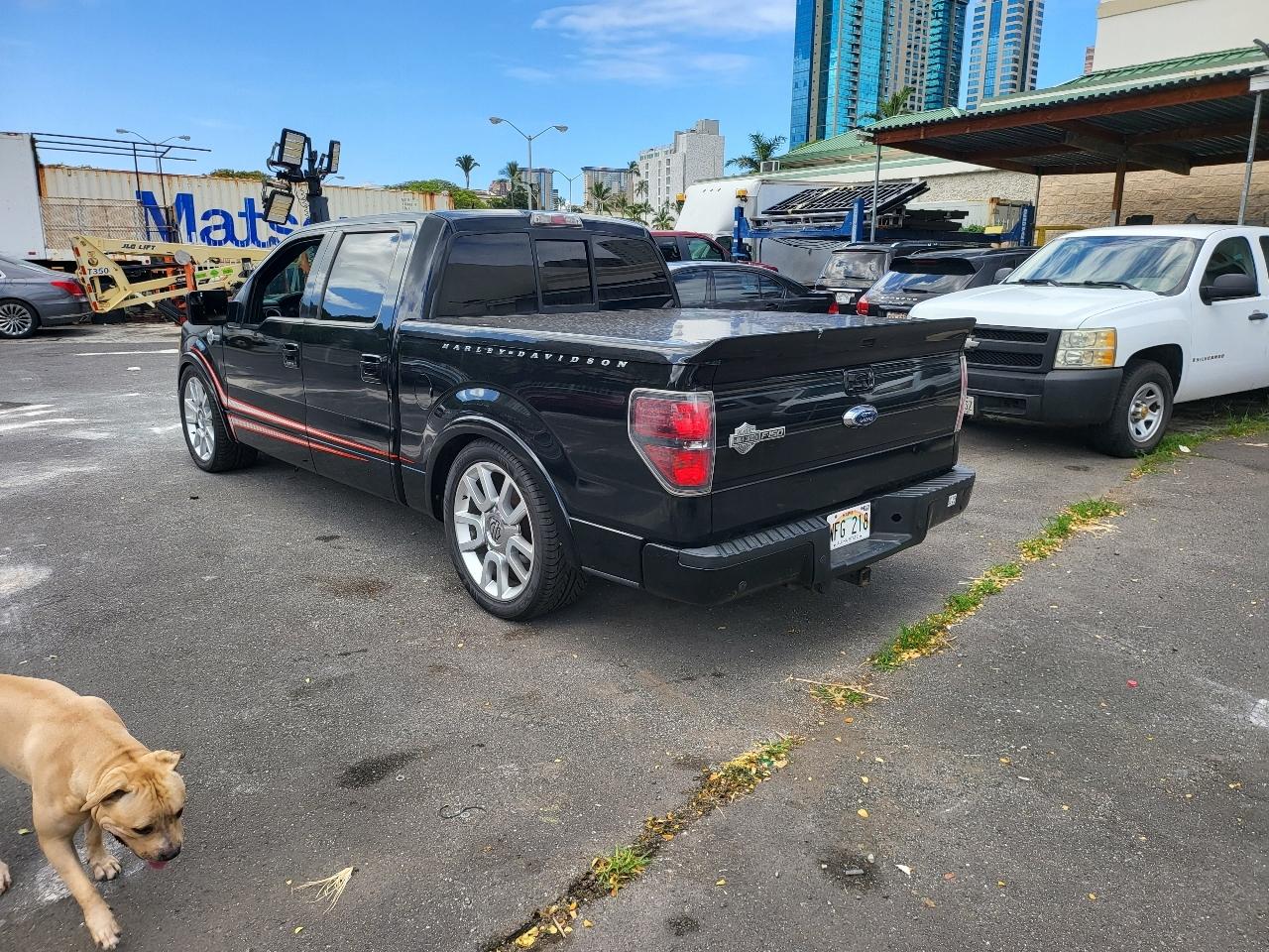 Ford F-150 Harley-Davidson 2011