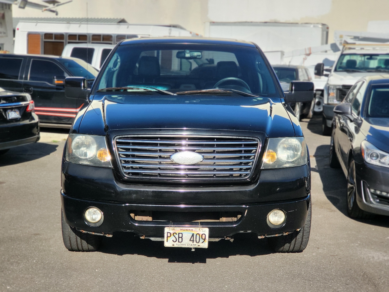 Ford F-150 2WD SuperCrew 139" Harley-Davidson 2007