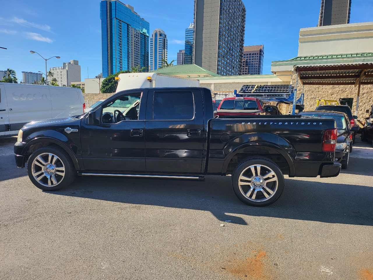 Ford F-150 2WD SuperCrew 139" Harley-Davidson 2007