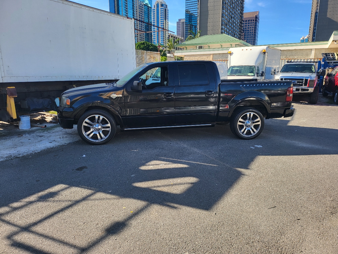 Ford F-150 2WD SuperCrew 139" Harley-Davidson 2007