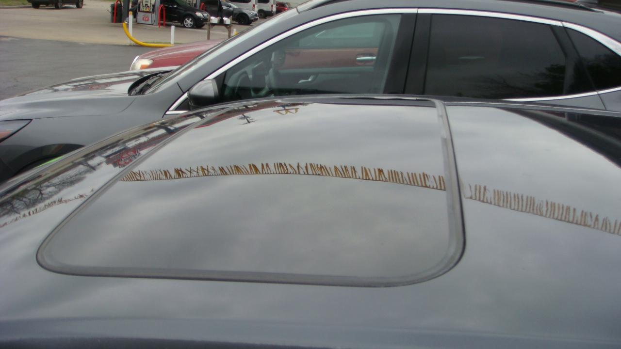 Honda Accord EX-L Sedan 2007