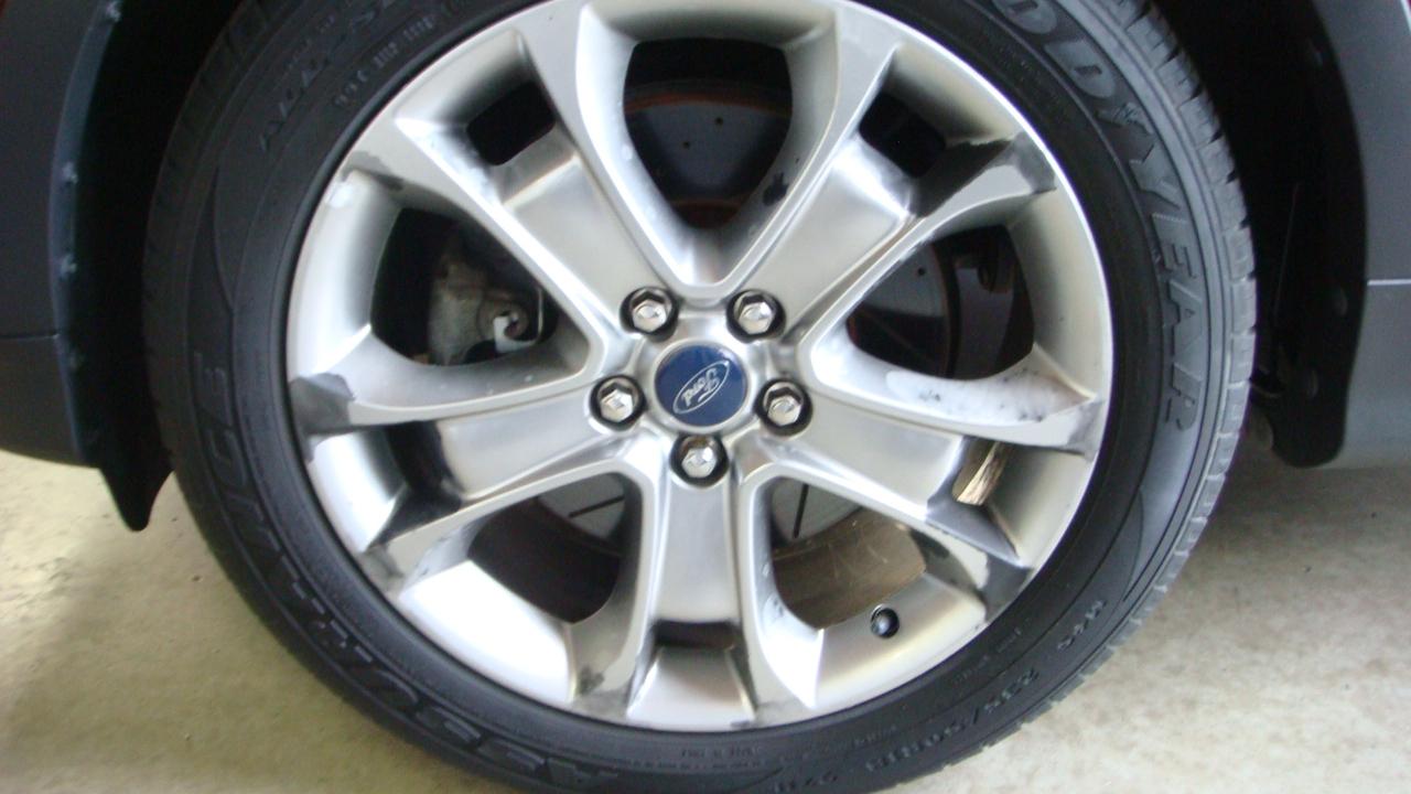 Photo 41