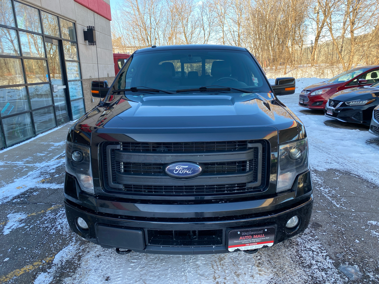 Ford F-150 4WD SuperCrew 157" FX4 2014