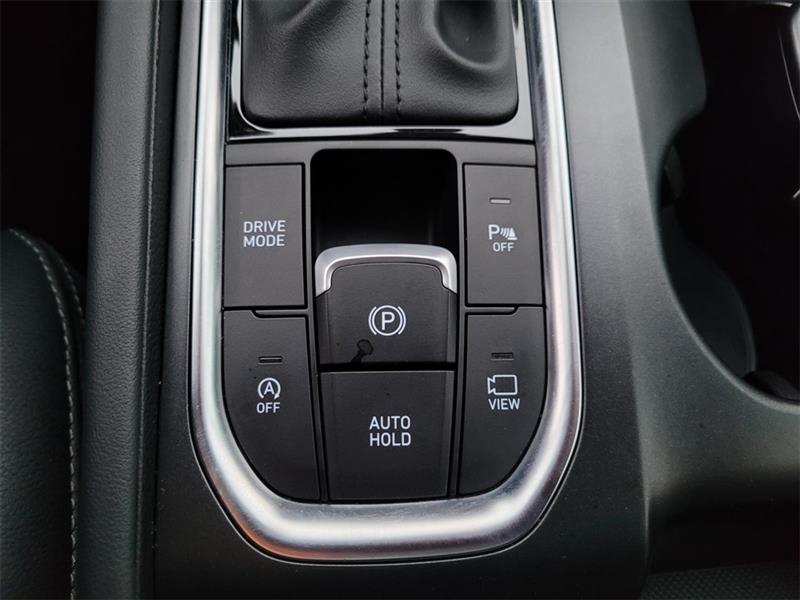 Hyundai Santa Fe Limited 2.0T 2020