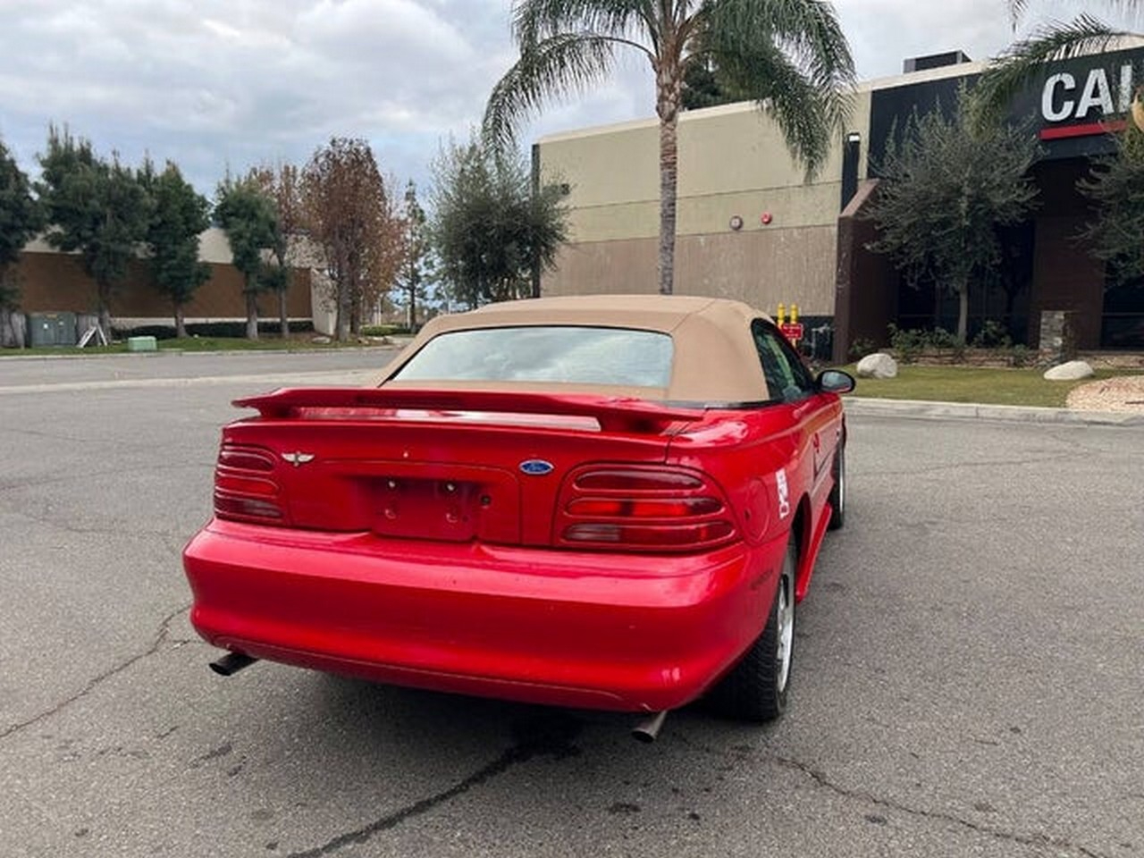 Ford Mustang Cobra Convertible 1994 Ford Mustang Cobra Convertible 1994