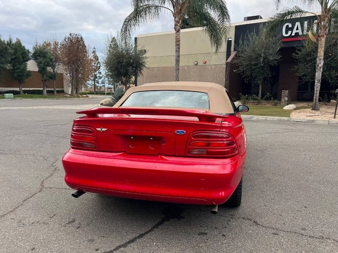 Ford Mustang Cobra Convertible 1994 Ford Mustang Cobra Convertible 1994