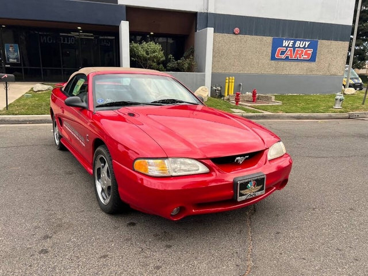 Ford Mustang Cobra Convertible 1994 Ford Mustang Cobra Convertible 1994