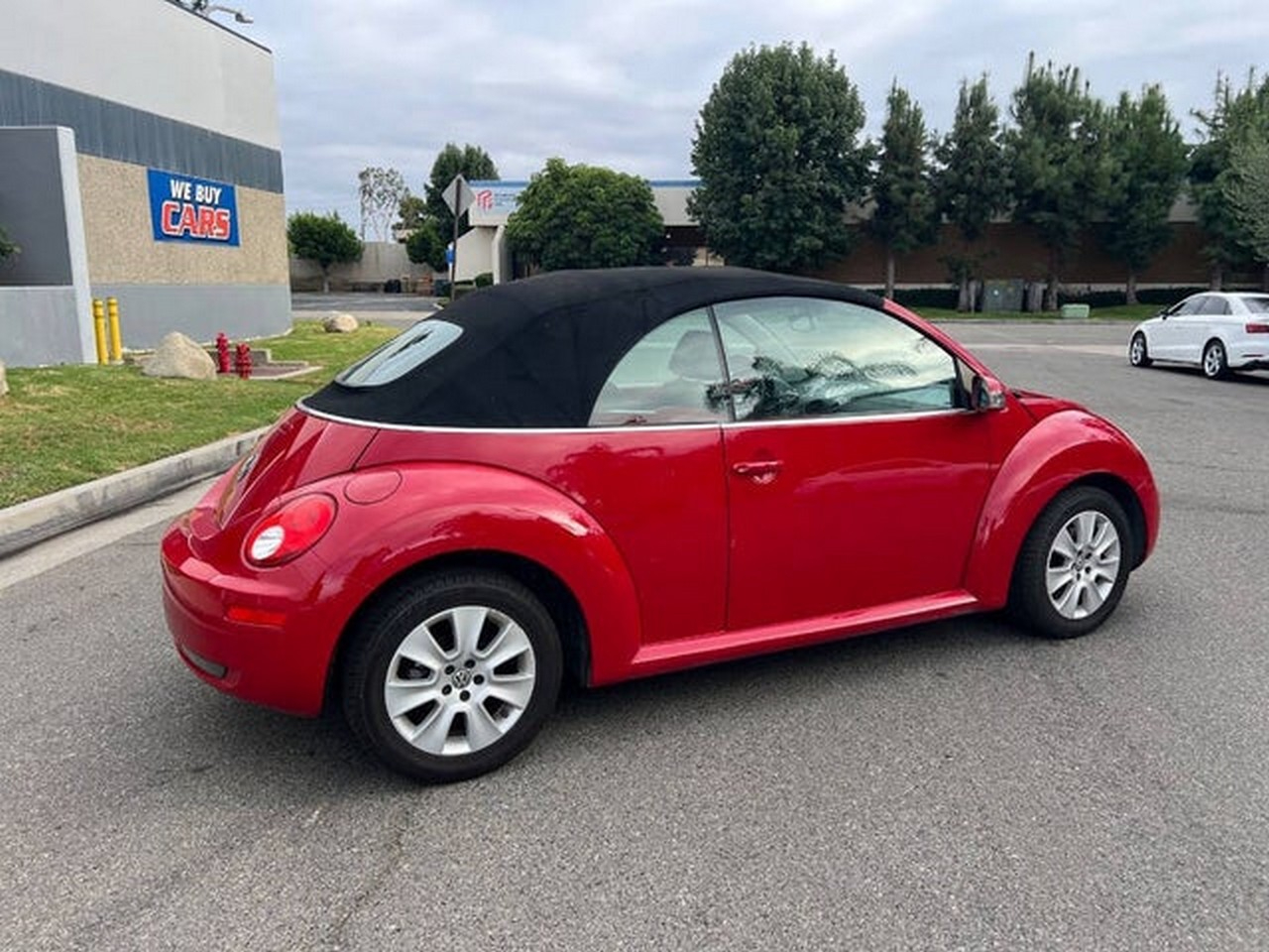 Volkswagen New Beetle S PZEV Convertible 2008 Volkswagen New Beetle S PZEV Convertible 2008