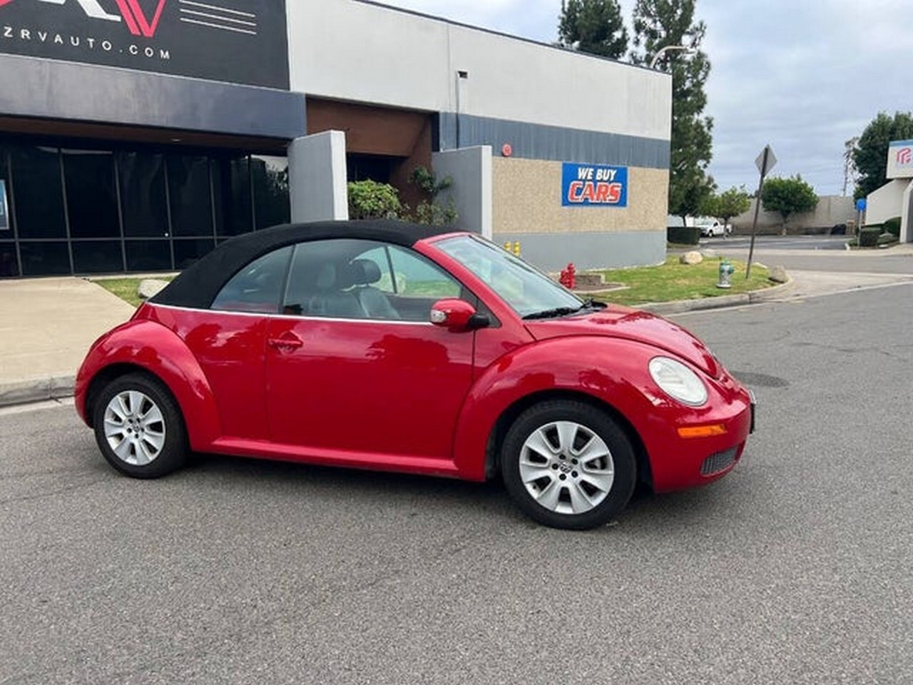 Volkswagen New Beetle S PZEV Convertible 2008 Volkswagen New Beetle S PZEV Convertible 2008