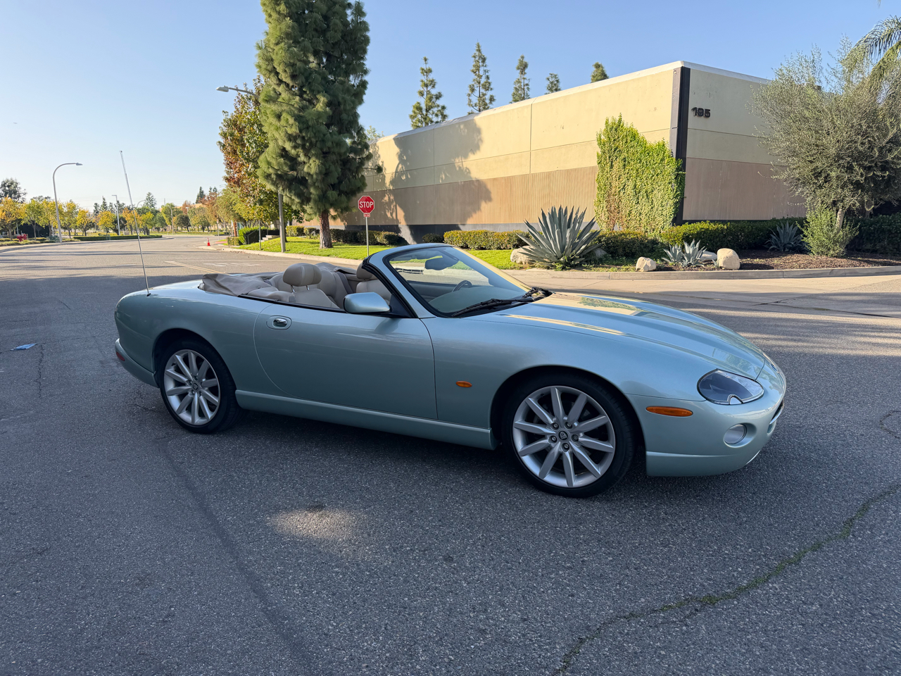 Jaguar XK-Series XK8 Convertible 2005