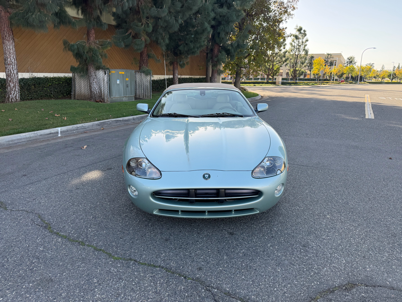 Jaguar XK-Series XK8 Convertible 2005