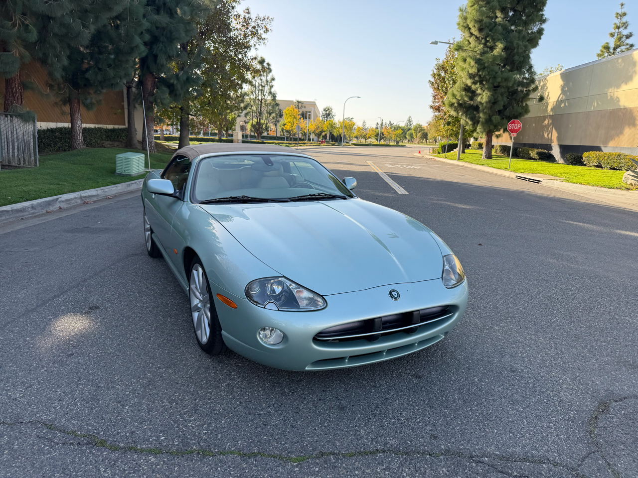 Jaguar XK-Series XK8 Convertible 2005