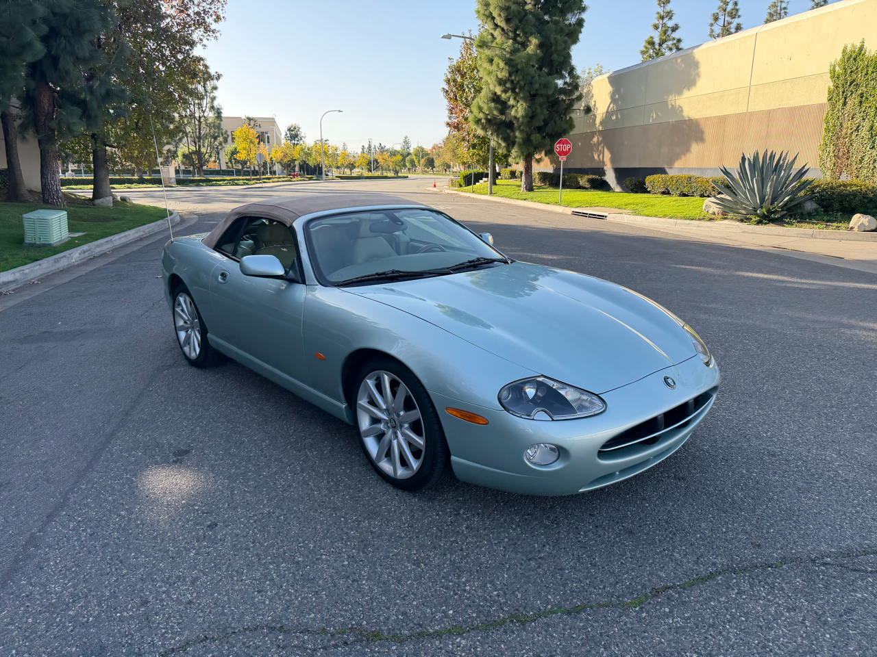 Jaguar XK-Series XK8 Convertible 2005