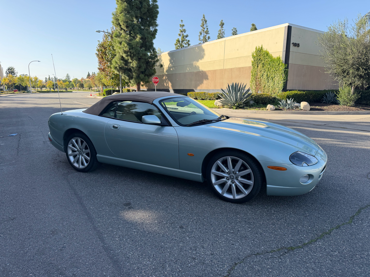 Jaguar XK-Series XK8 Convertible 2005
