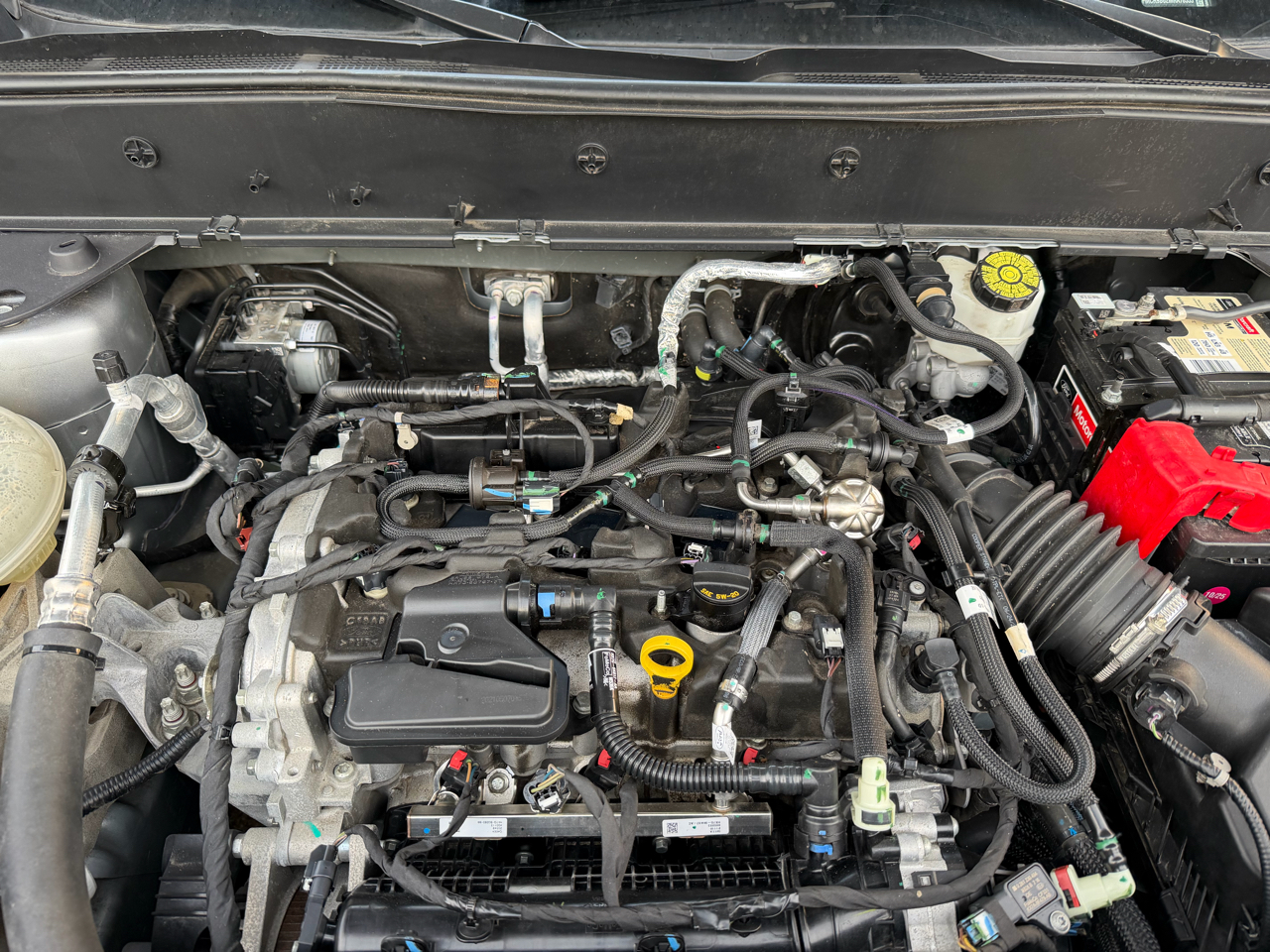 Ford Bronco Sport Big Bend 2021