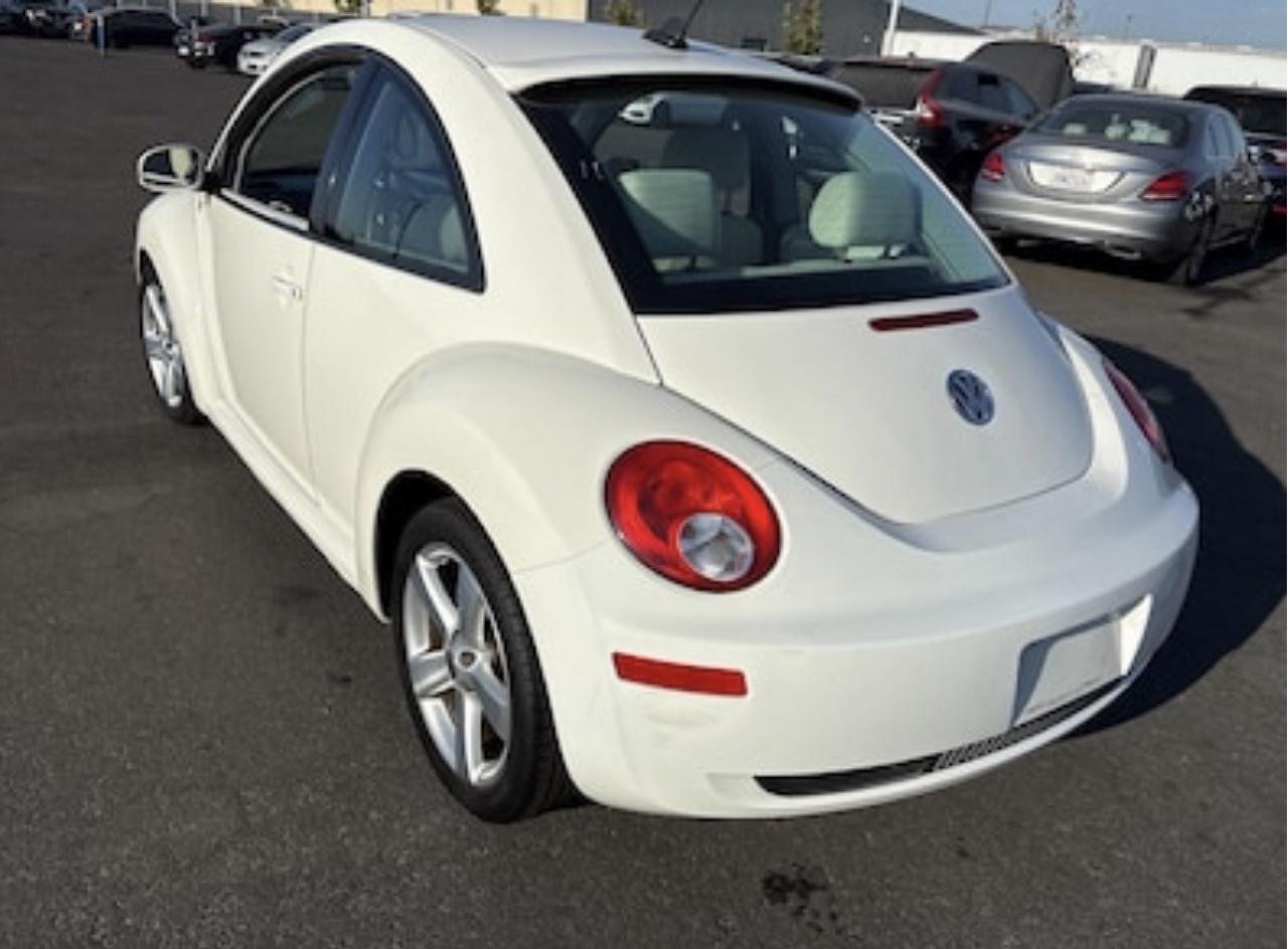 Volkswagen New Beetle Triple White 2008