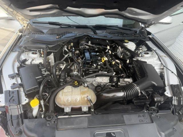 Ford Mustang EcoBoost Premium Convertible 2019