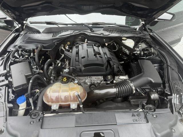 Ford Mustang EcoBoost Convertible 2020