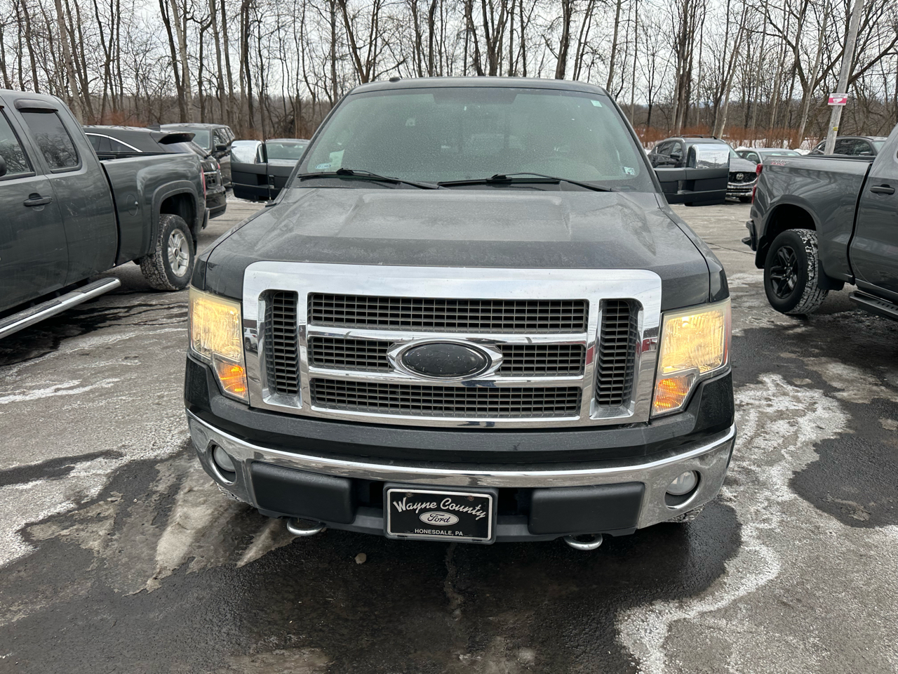 Ford F-150 4WD SuperCrew 145" Lariat 2009