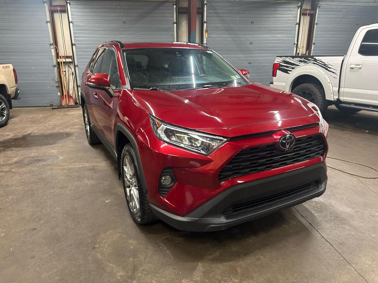 Toyota RAV4 XLE Premium AWD (Natl) 2020