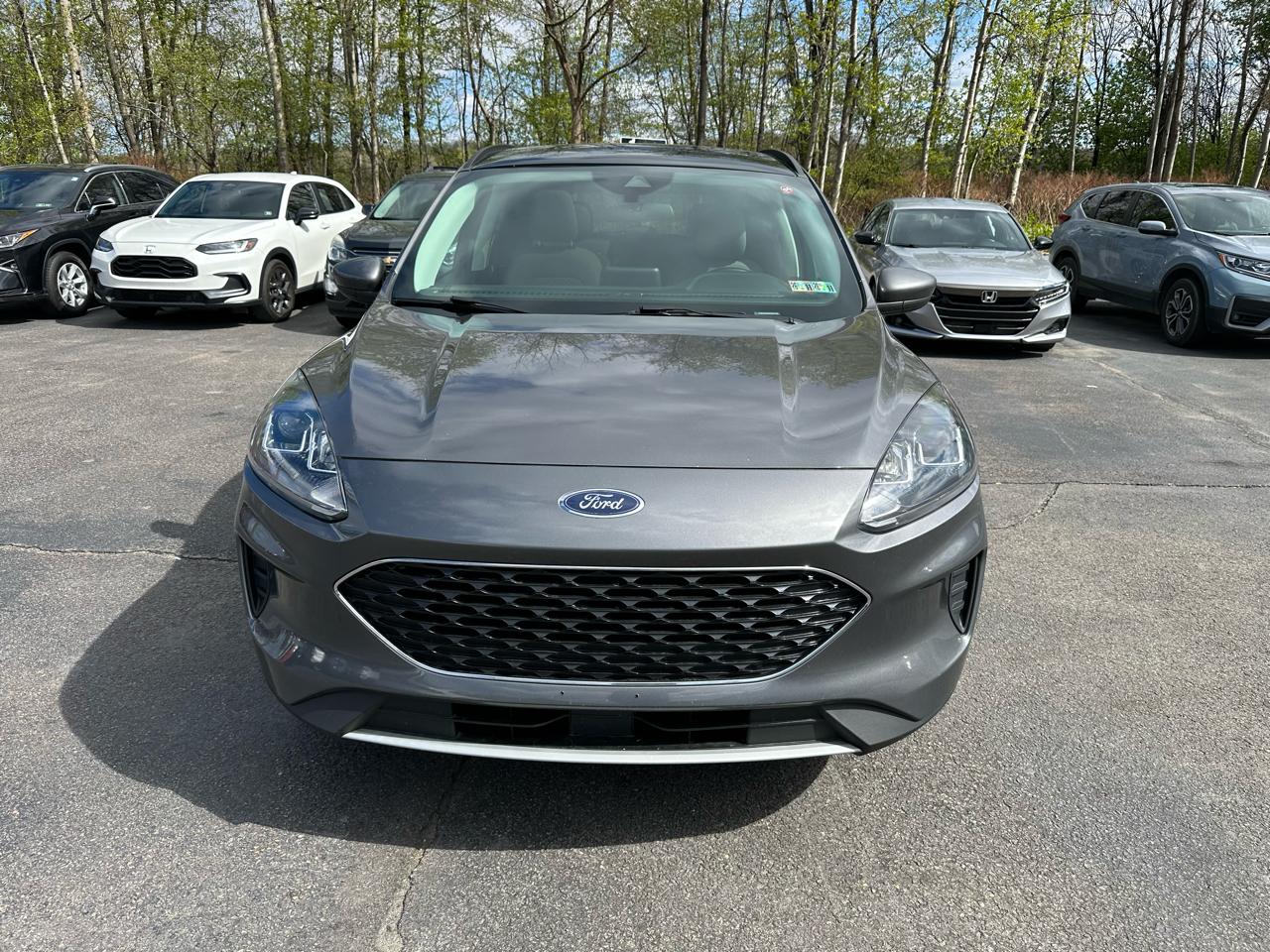 Ford Escape SE AWD 2021