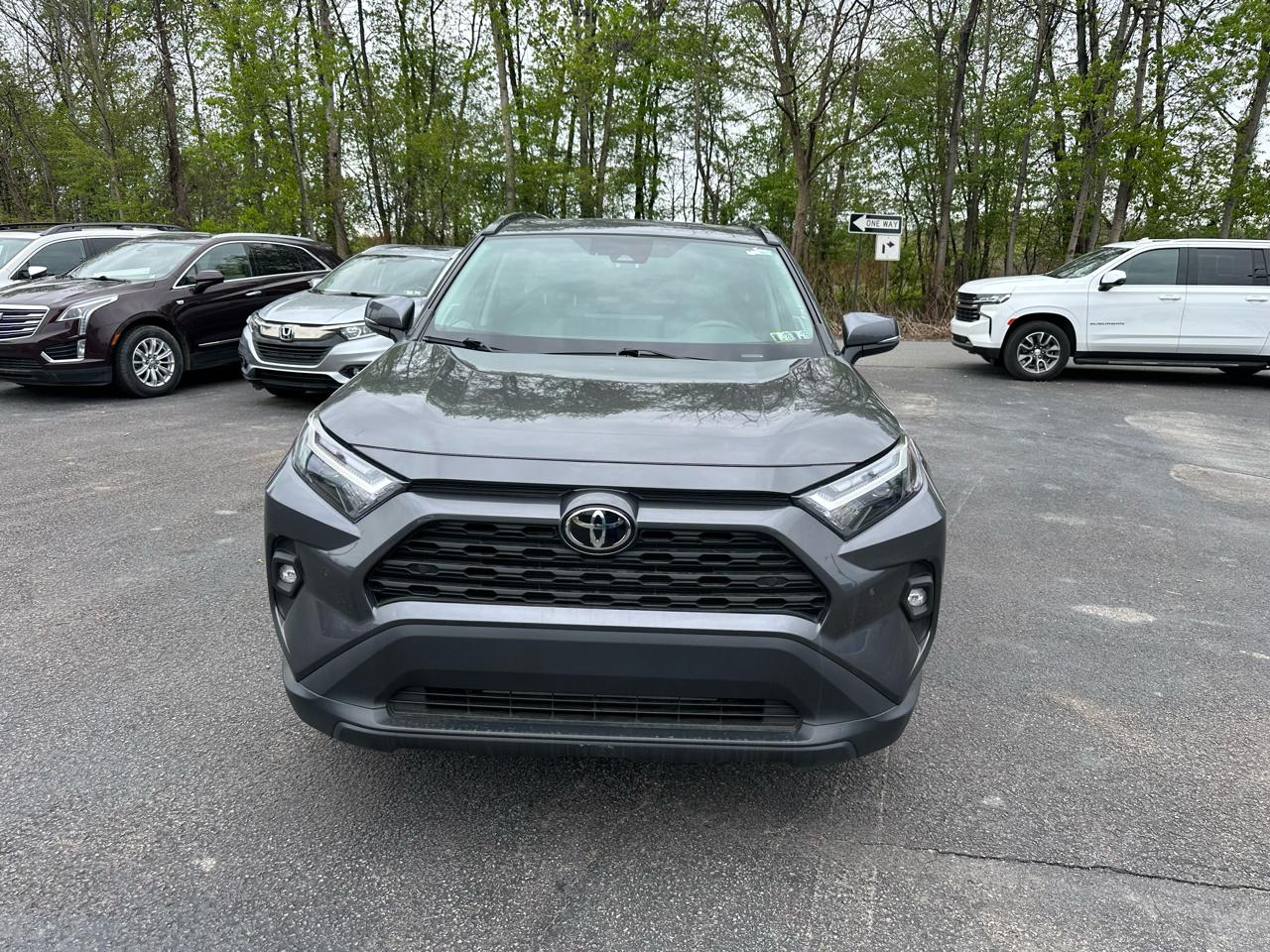 Toyota RAV4 XLE Premium AWD (Natl) 2023