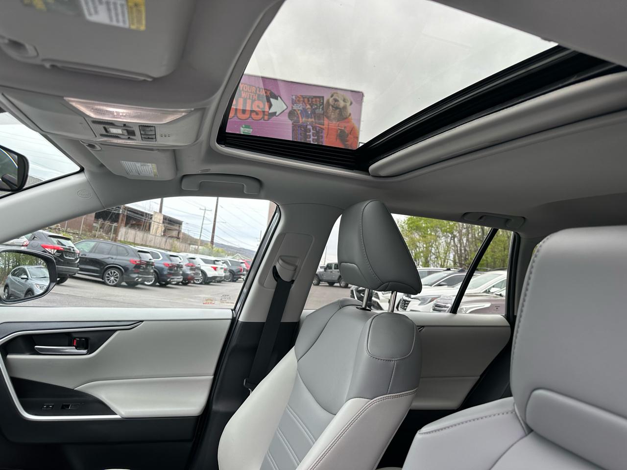 Toyota RAV4 XLE Premium AWD (Natl) 2023