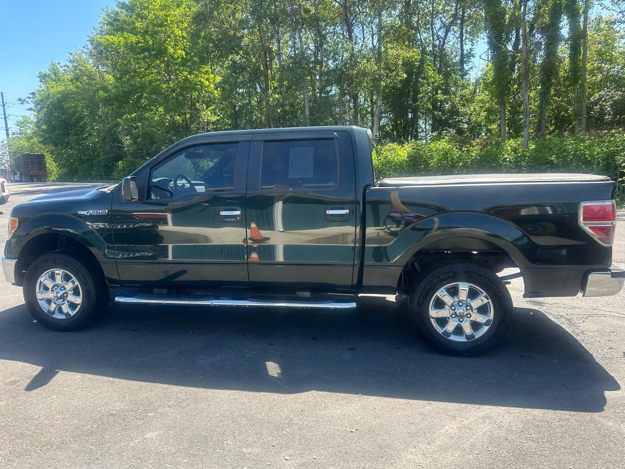 Ford F-150 4WD SuperCrew 145" XLT 2014