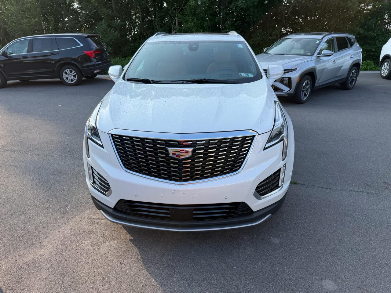 Cadillac XT5 AWD 4dr Premium Luxury 2023
