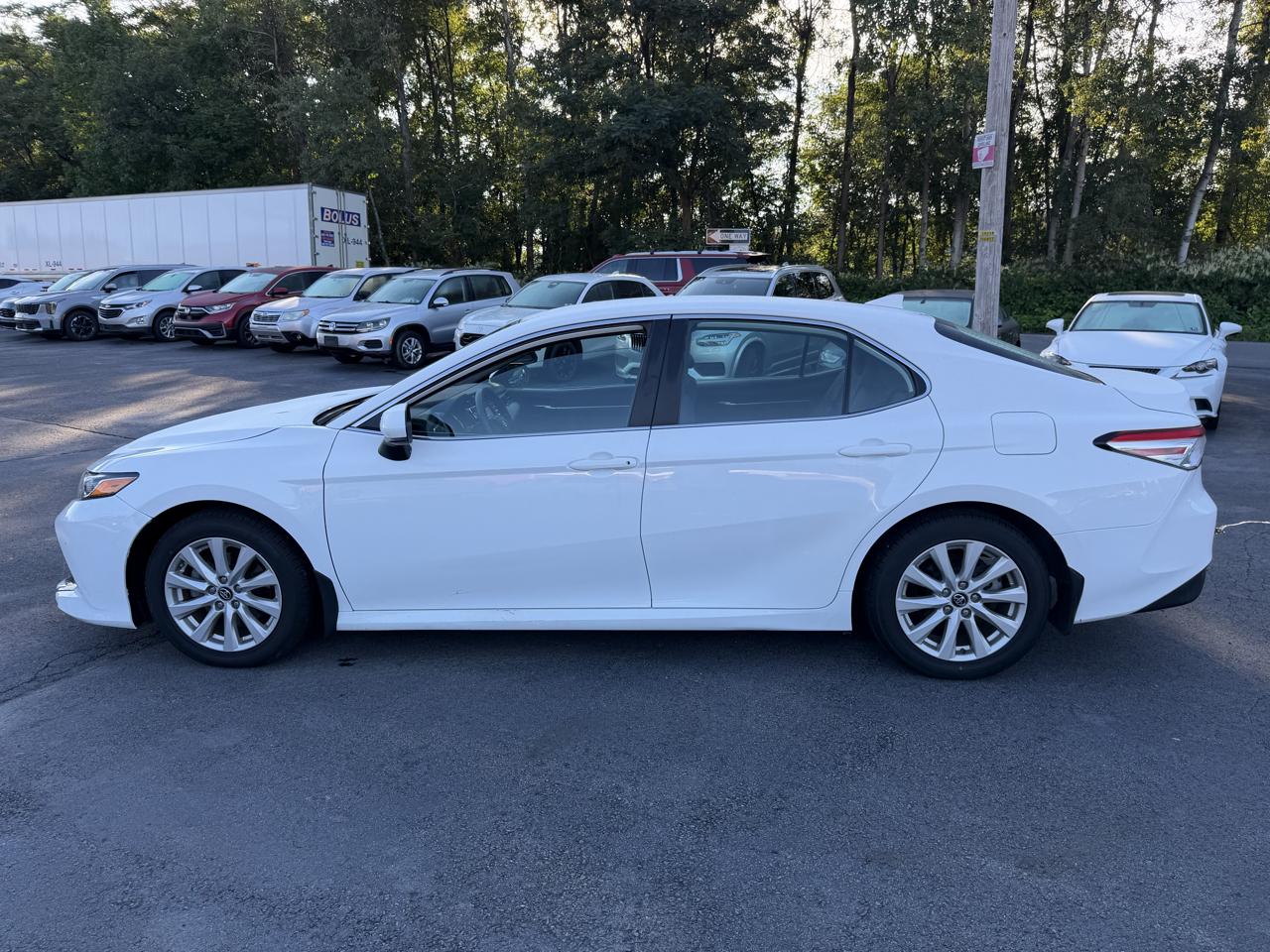 Toyota Camry XLE Auto (Natl) 2019