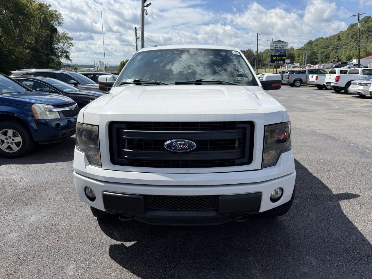 Ford F-150 4WD SuperCrew 145" FX4 2013