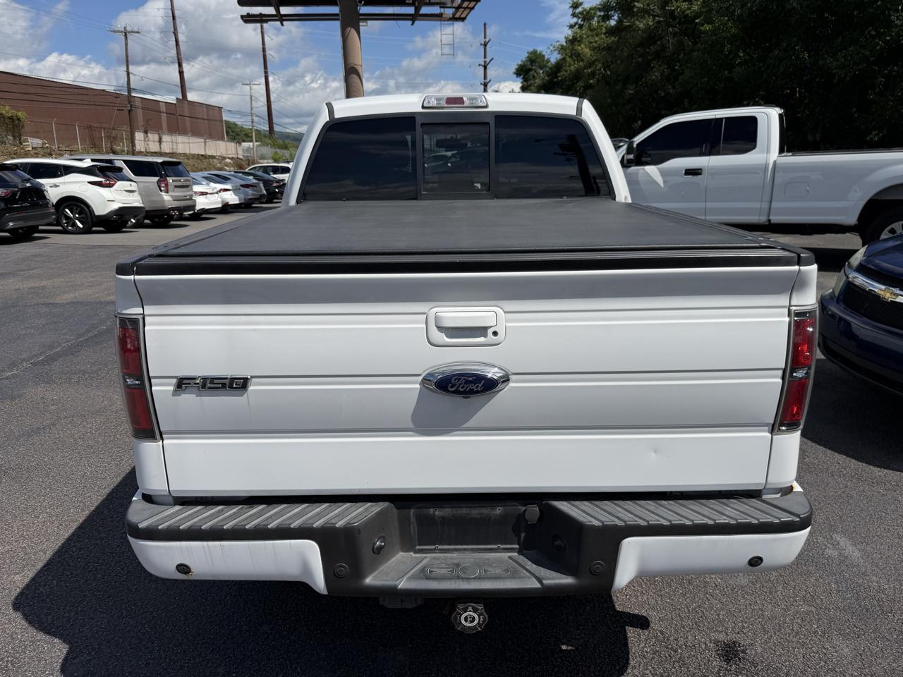 Ford F-150 4WD SuperCrew 145" FX4 2013