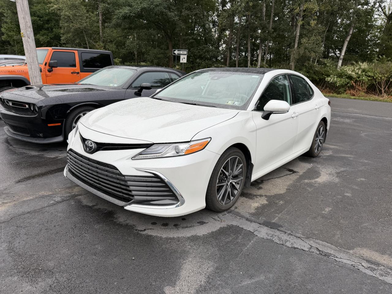 Toyota Camry XLE Auto AWD (Natl) 2024