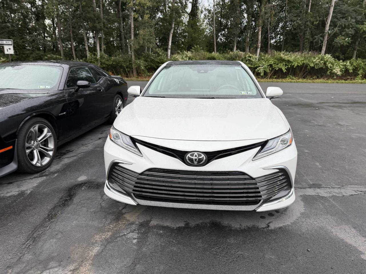 Toyota Camry XLE Auto AWD (Natl) 2024
