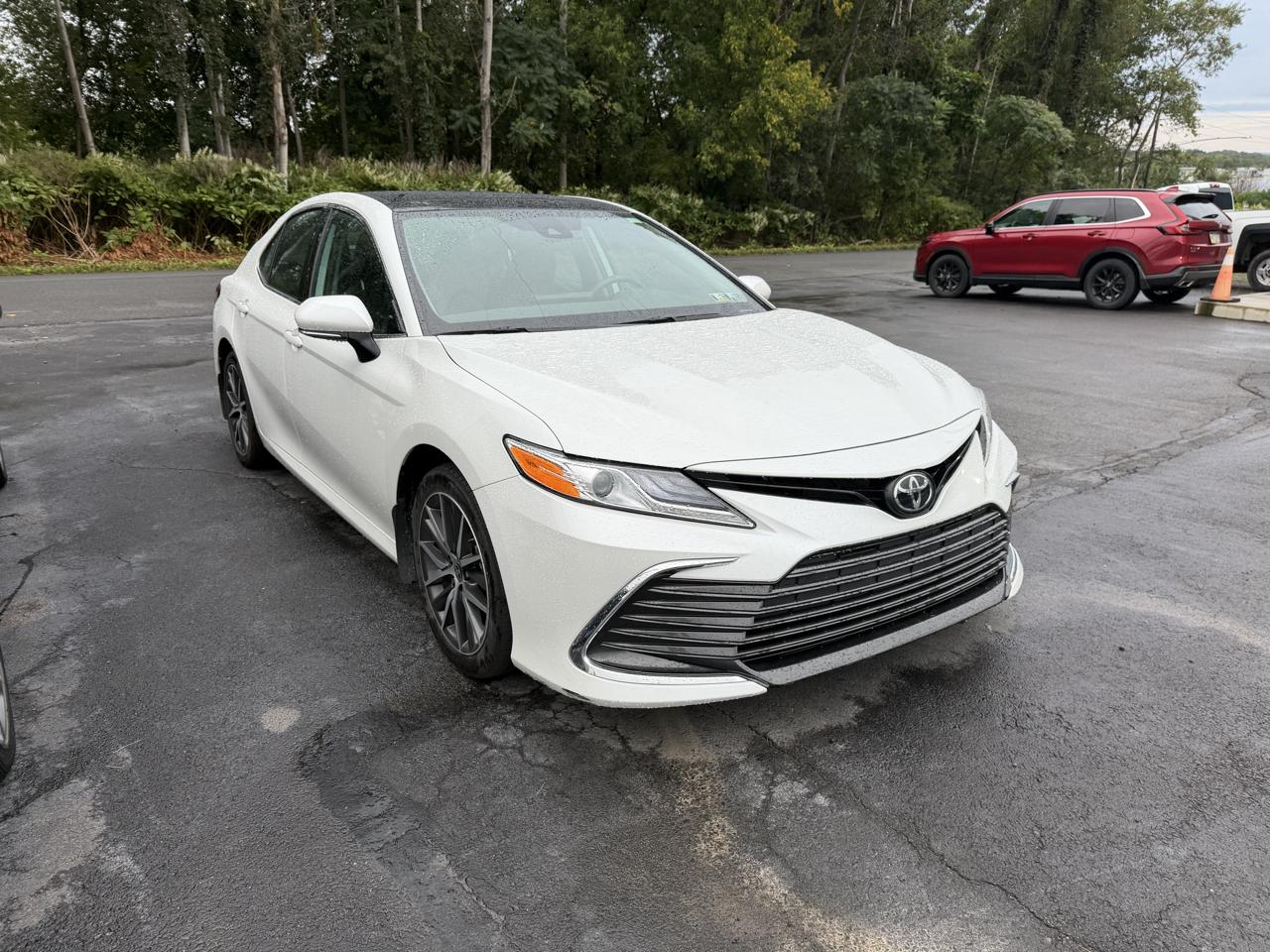 Toyota Camry XLE Auto AWD (Natl) 2024