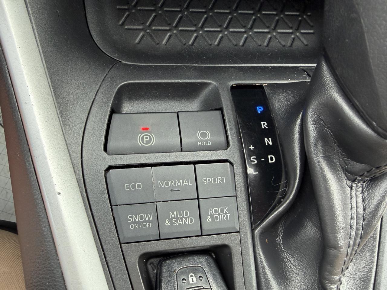 Toyota RAV4 XLE AWD (Natl) 2019
