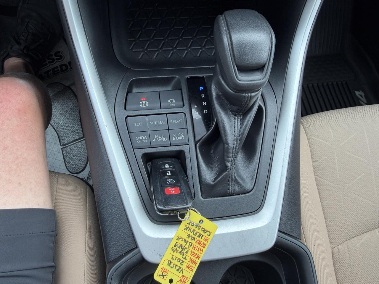 Toyota RAV4 XLE AWD (Natl) 2019