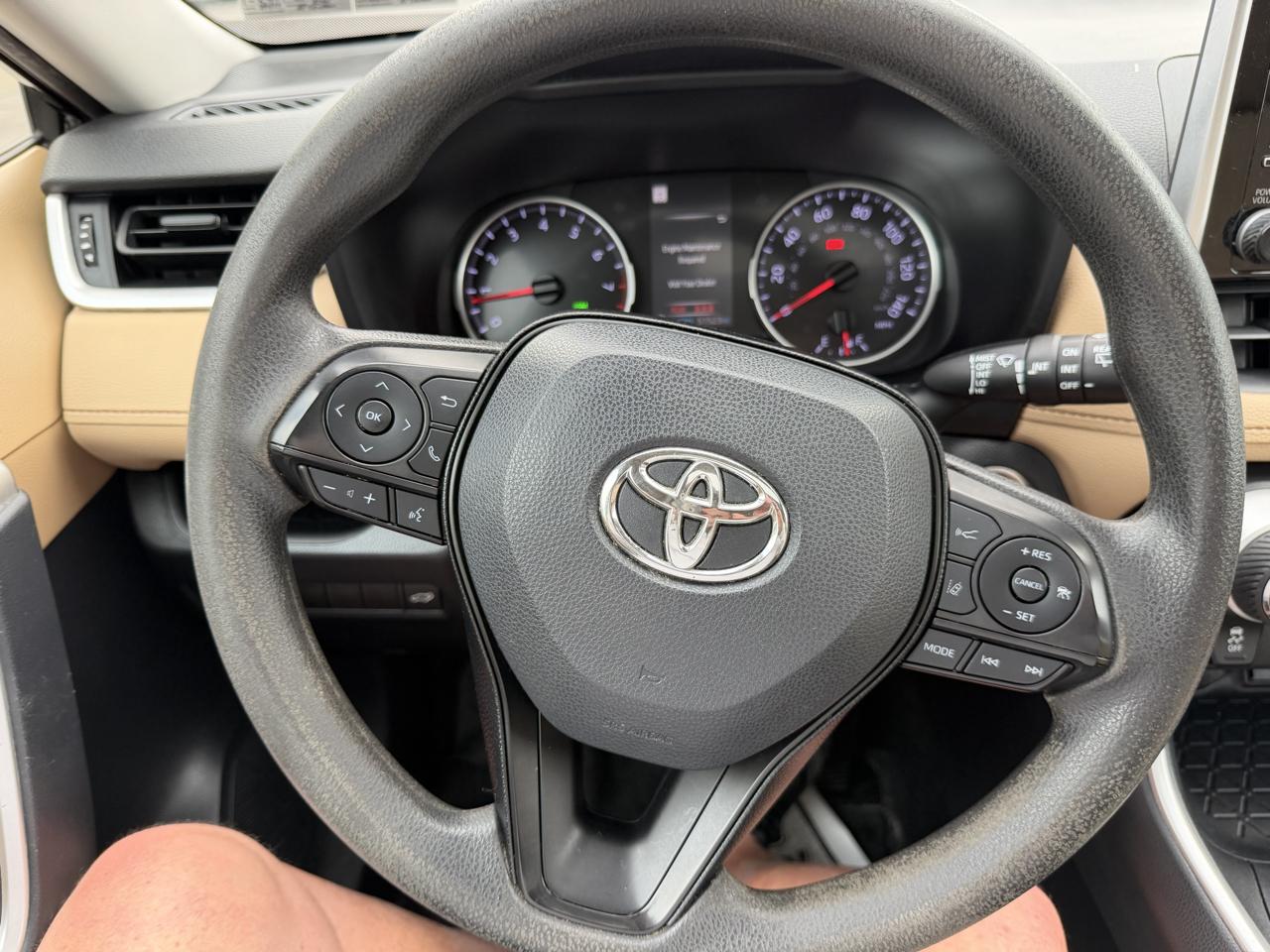 Toyota RAV4 XLE AWD (Natl) 2019