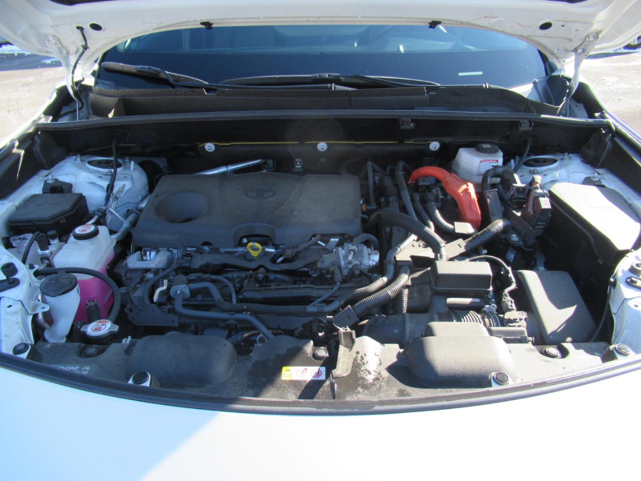 Toyota Venza LE 2024