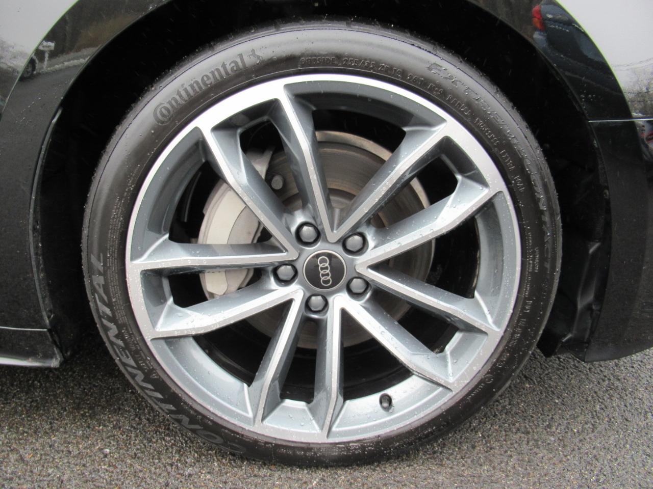 Audi A5 Premium Plus S line 45 TFSII quattro 2024