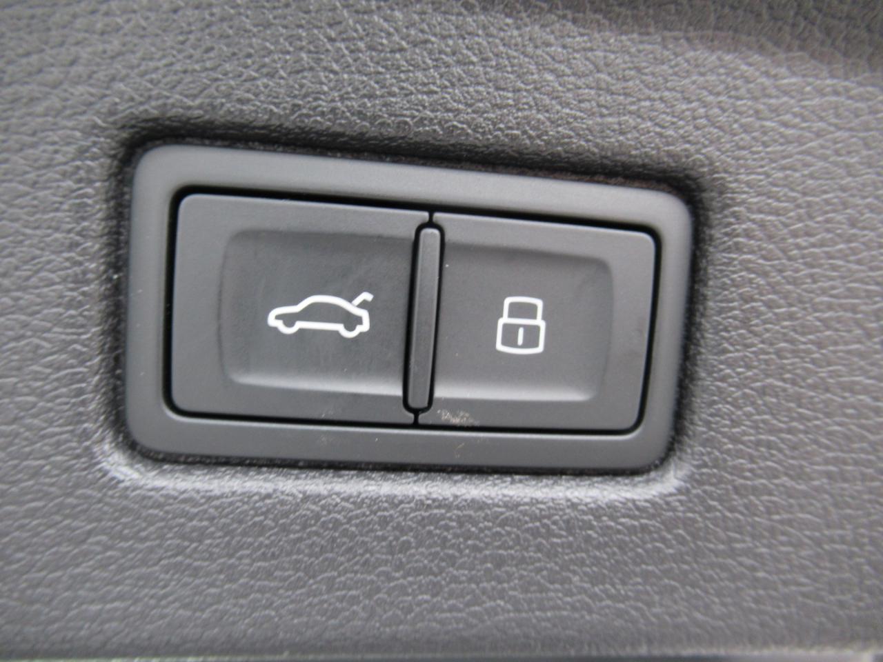 Audi A5 Premium Plus S line 45 TFSII quattro 2024