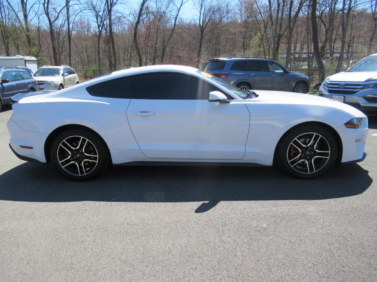 Ford Mustang EcoBoost Coupe 2019