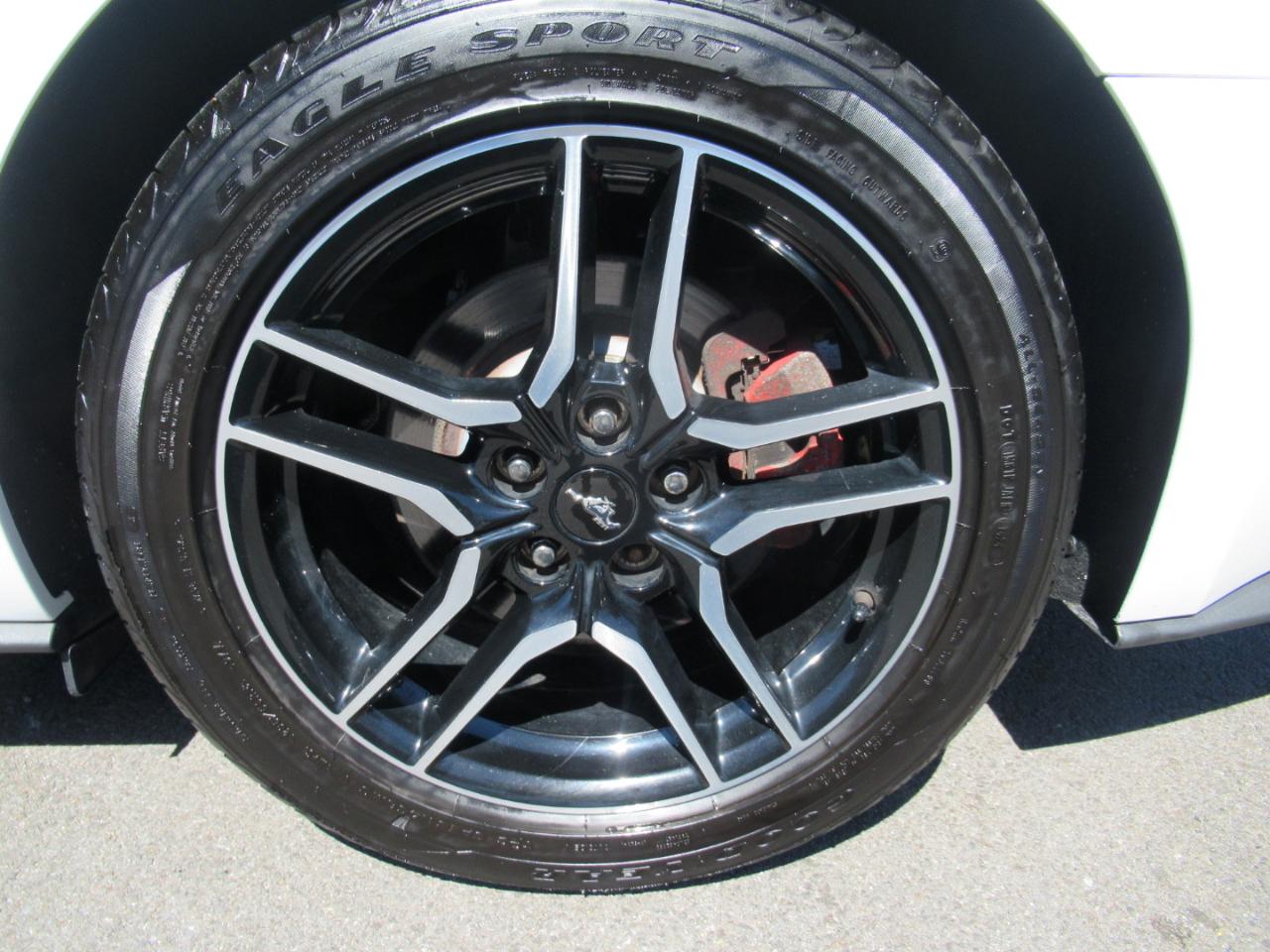 Ford Mustang EcoBoost Coupe 2019