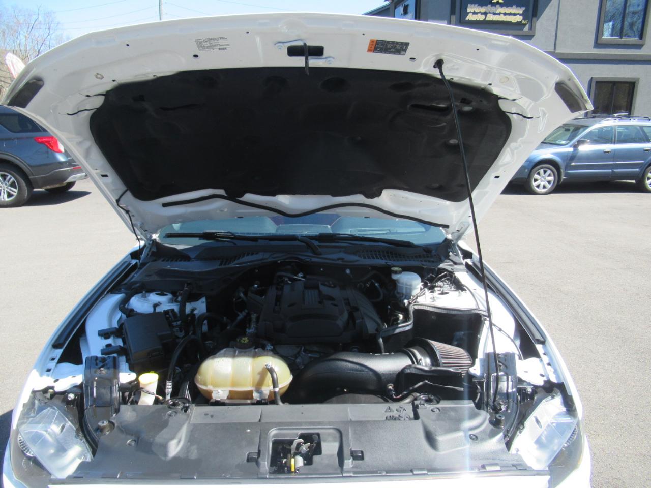 Ford Mustang EcoBoost Coupe 2019