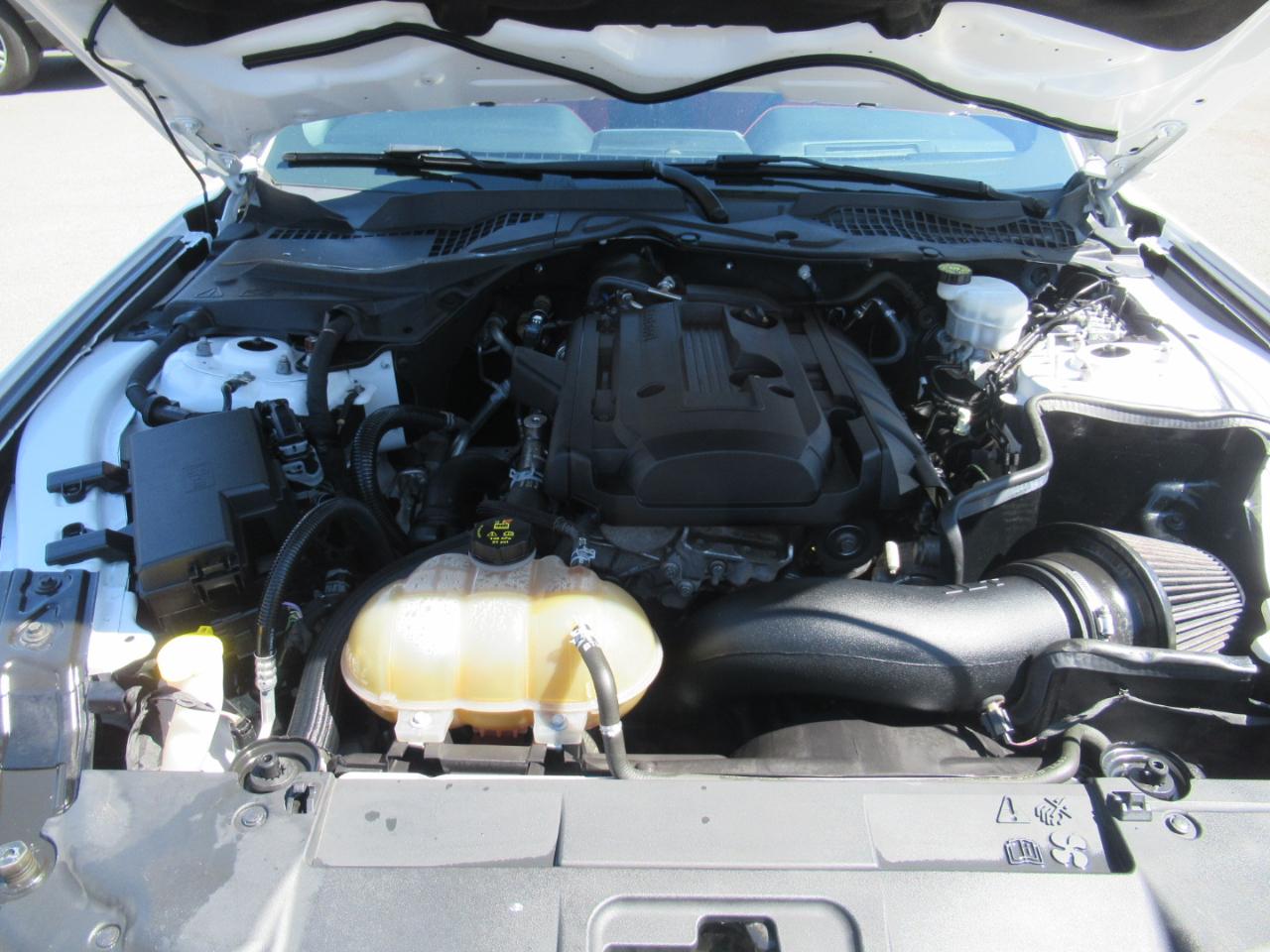 Ford Mustang EcoBoost Coupe 2019