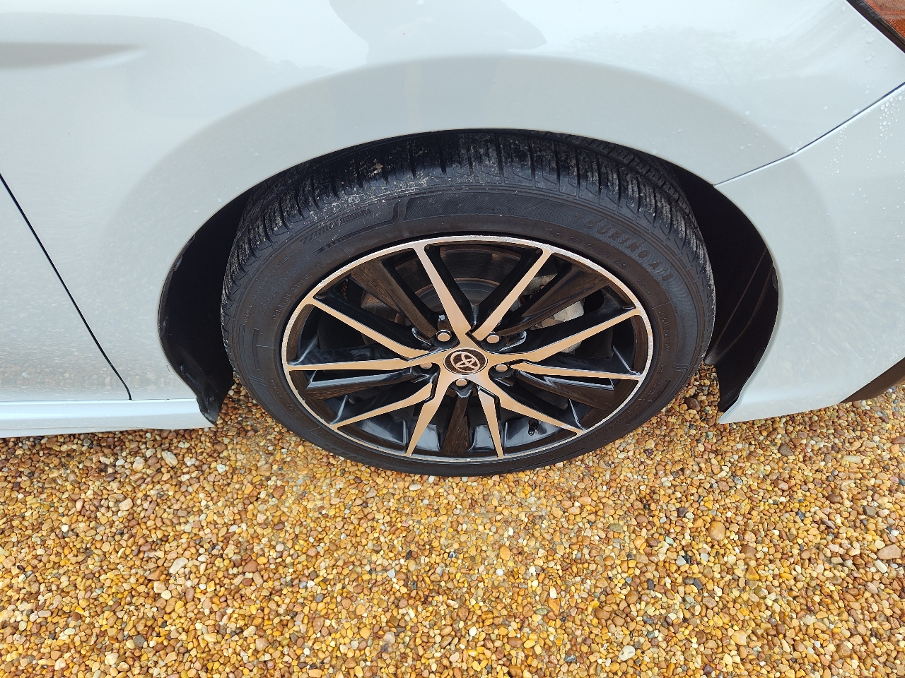 Toyota Camry SE Auto (Natl) 2022