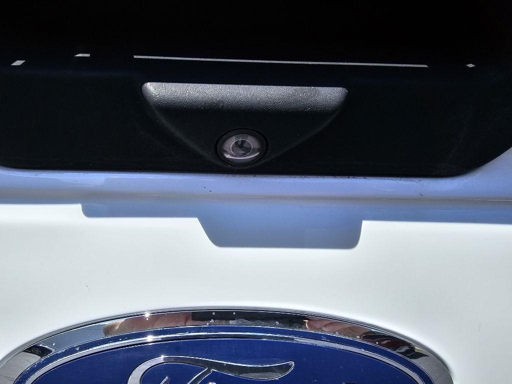 Ford F-150 XL SuperCrew 5.5-ft. Bed 4WD 2019